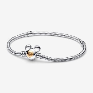 Pandora 100th Anniversary Moments Snake Chain Bracelet Mehrfarbig | 109KDRQEA