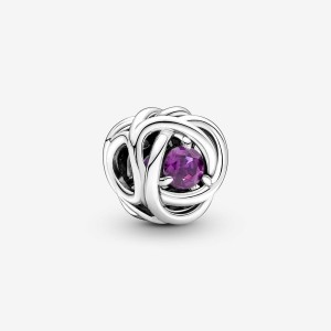Pandora February Purple Eternity Circle Charm Silber | 564XDZSIU