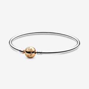 Pandora Moments Bangle Mehrfarbig | 641BUCTGL