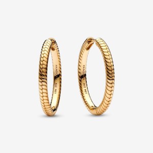 Pandora Moments Charm Hoop Earrings Gold | 507TAUIDV