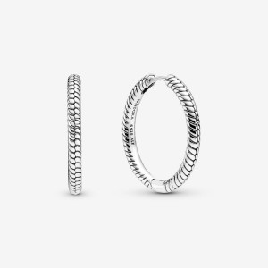 Pandora Moments Charm Hoop Earrings Silber | 690QSMVHA
