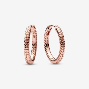 Pandora Moments Small Charm Hoop Earrings Rosa Gold | 706BHVRQL
