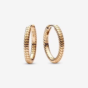Pandora Moments Small Charm Hoop Earrings Gold | 120RXHGAP