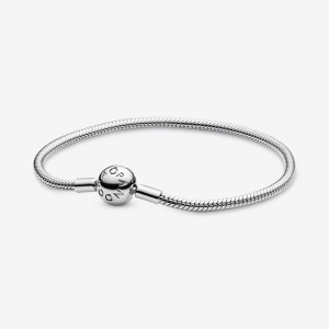 Pandora Moments Snake Chain Bracelet Silber | 746RINHOE