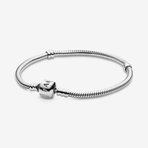 Pandora Moments Snake Chain Bracelet Silber | 837IEDLUY