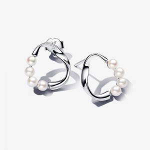 Pandora Organically Shaped Circle & Treated Freshwater Cultured Pearls Stud Earrings Silber | 856OPKLSZ