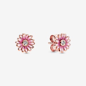 Pandora Pink Daisy Flower Stud Earrings Rosa Gold | 357JUFMTX