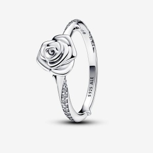 Pandora Rose in Bloom Ring Silber | 713TEDNVB