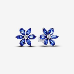 Pandora Sparkling Blue Herbarium Cluster Stud Earrings Silber | 594BTLJOK