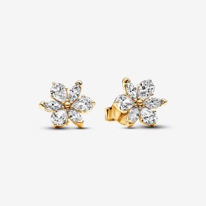 Pandora Sparkling Herbarium Cluster Stud Earrings Gold | 261QXJEVT