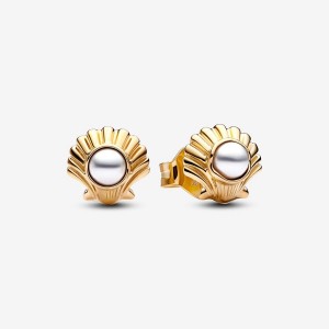 Pandora The Little Mermaid Seashell Stud Earrings Gold | 743BYHSLU
