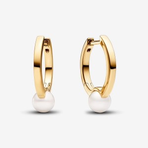 Pandora Treated Freshwater Cultured Pearl Hoop Earrings Gold | 630QCHRXB
