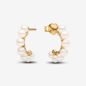 Pandora Treated Freshwater Cultured Pearls Open Hoop Earrings Gold | 908SIVRFT