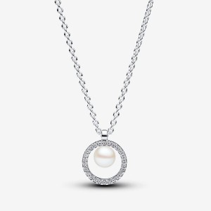 Pandora Treated Freshwater Cultured Pearl & Pave Collier Necklace Silber | 973GPRYFT