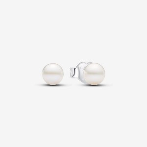 Pandora Treated Freshwater Cultured Pearl 4.5mm Stud Earrings Silber | 103LKQZDU