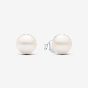 Pandora Treated Freshwater Cultured Pearl 7mm Stud Earrings Silber | 127UQAJOV