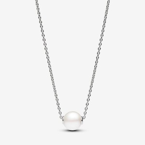 Pandora Treated Freshwater Cultured Pearl Collier Necklace Silber | 290MDYBVR