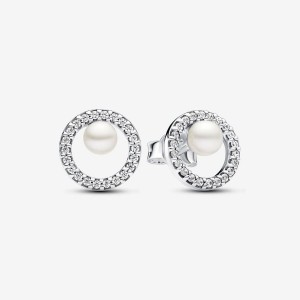 Pandora Treated Freshwater Cultured Pearl & Pave Halo Stud Earrings Silber | 361UOKTAY