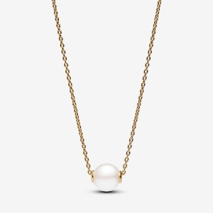 Pandora Treated Freshwater Cultured Pearl Collier Necklace Gold | 450EZFPUQ