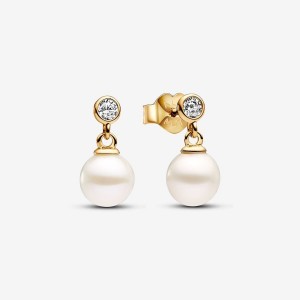 Pandora Treated Freshwater Cultured Pearl & Stone Drop Earrings Gold | 463JTSAON