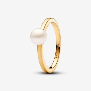 Pandora Treated Freshwater Cultured Pearl Ring Gold | 509JDLIZO