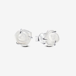 Pandora White Rose in Bloom Stud Earrings Silber | 276ONHRQA